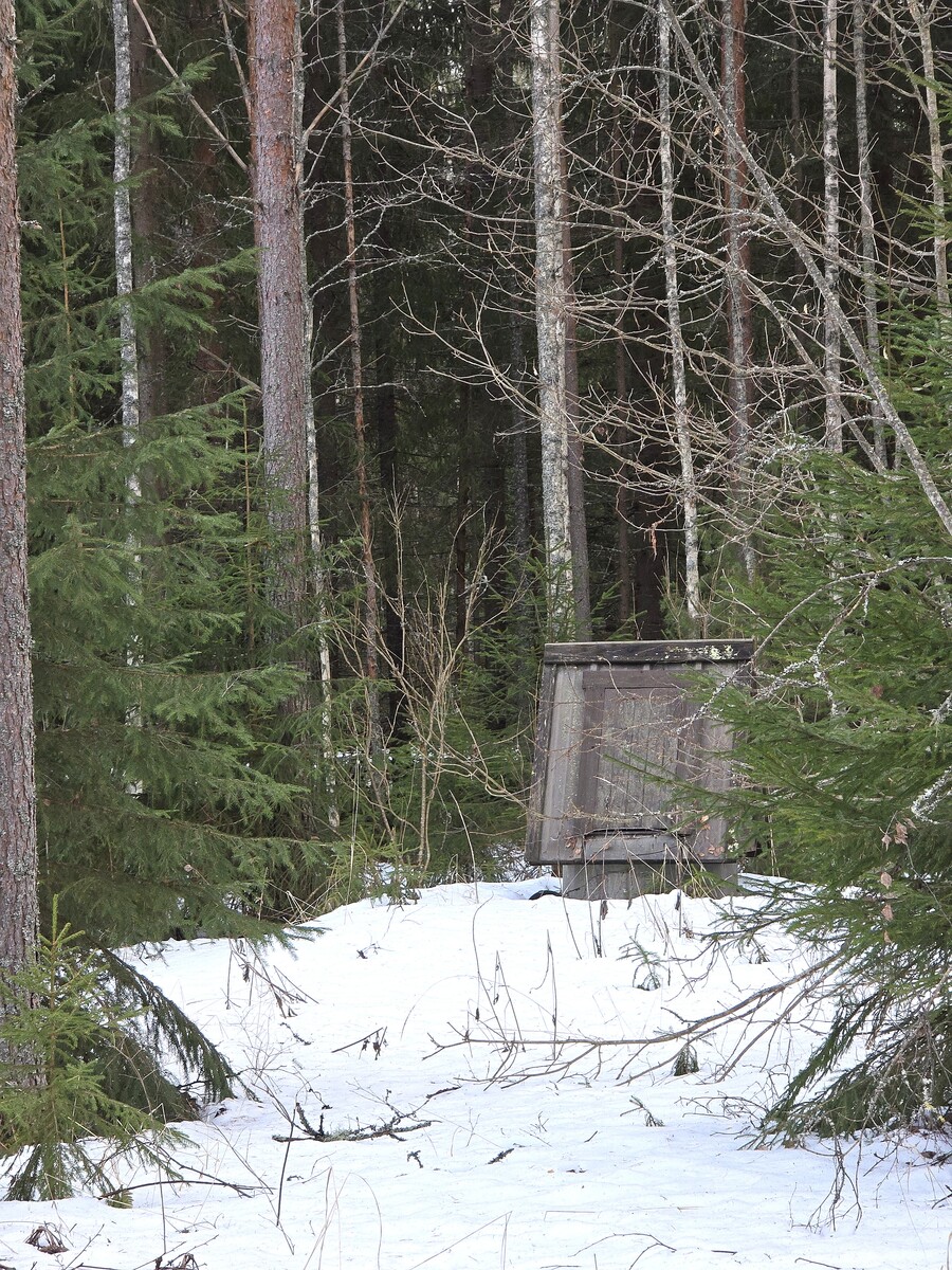 Kaivo.