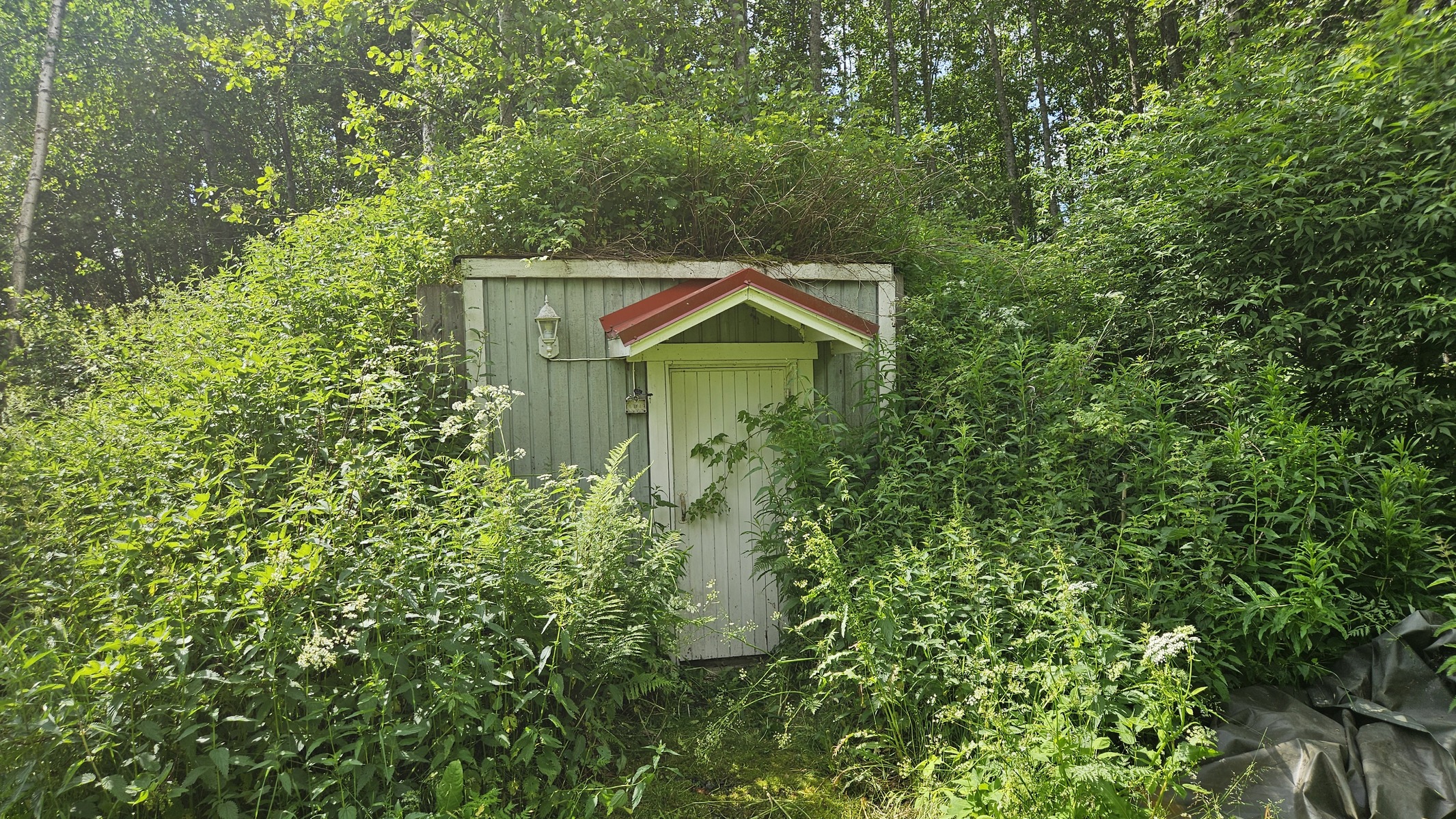 Maakellari