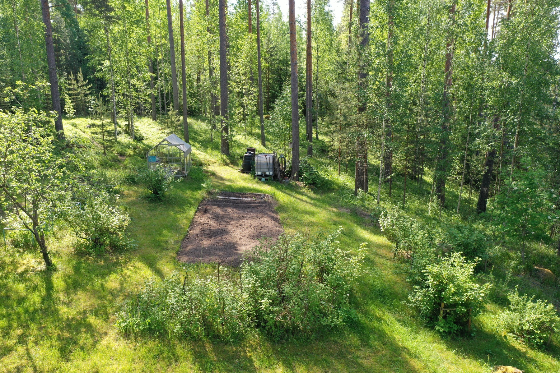 Kasvimaa