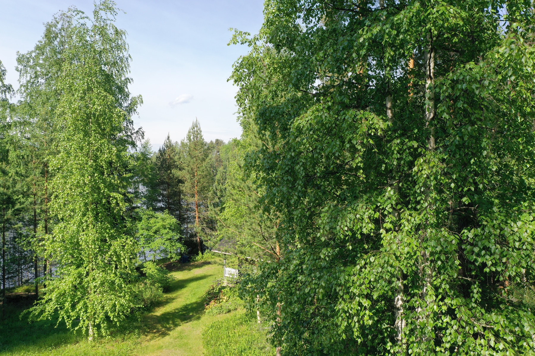 Saunapolku