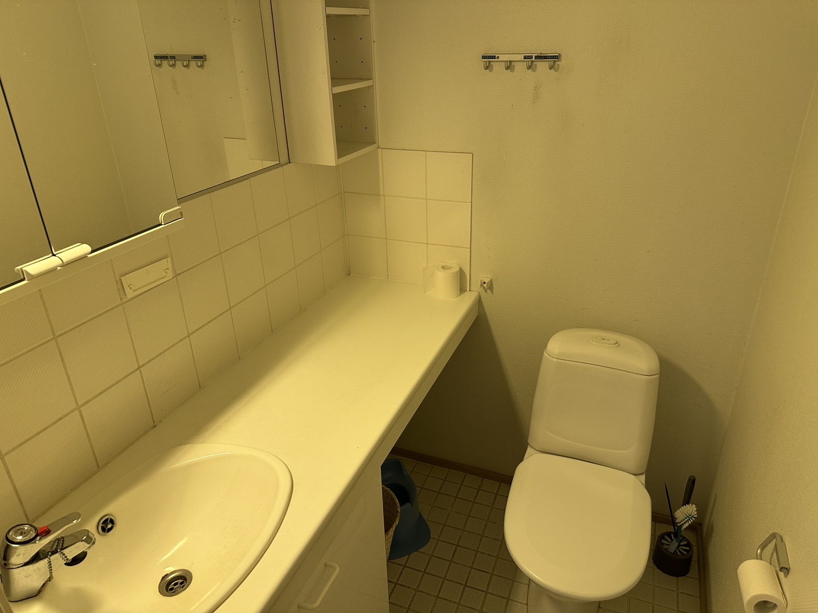 Erillinen wc