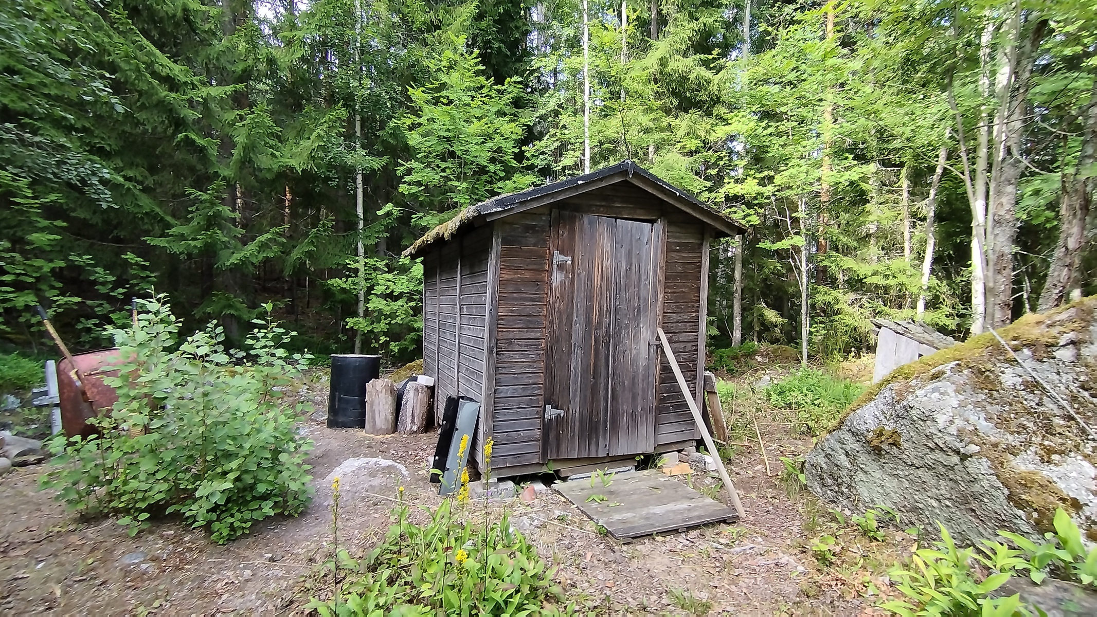 Vaja