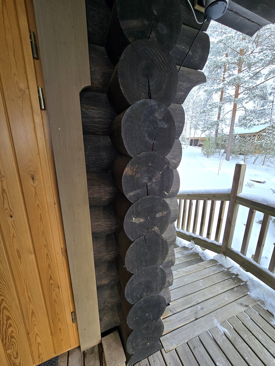 Paksu höyläpöyröhirsi.
