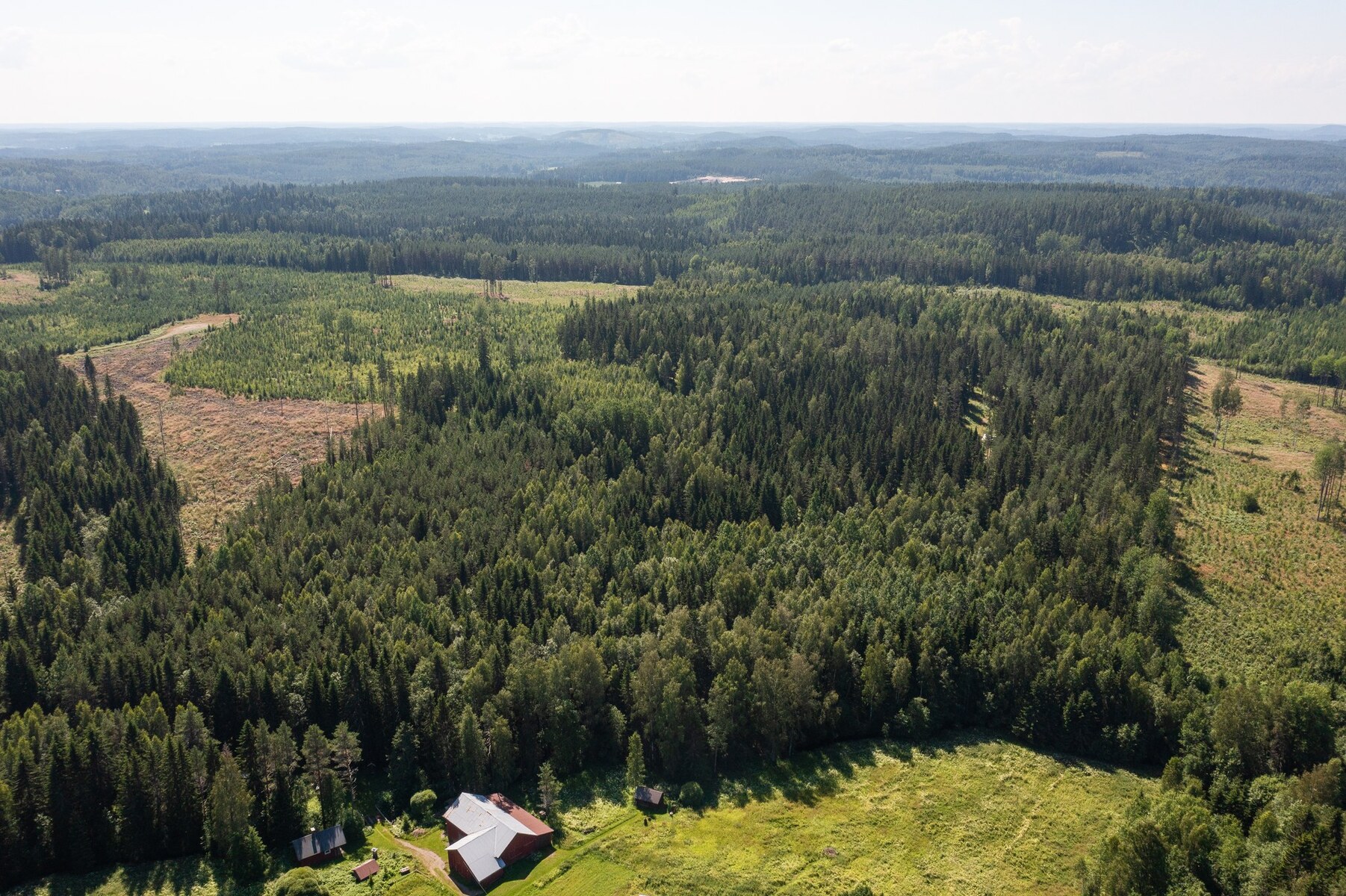 Metsäpalsta Käkikumpu II