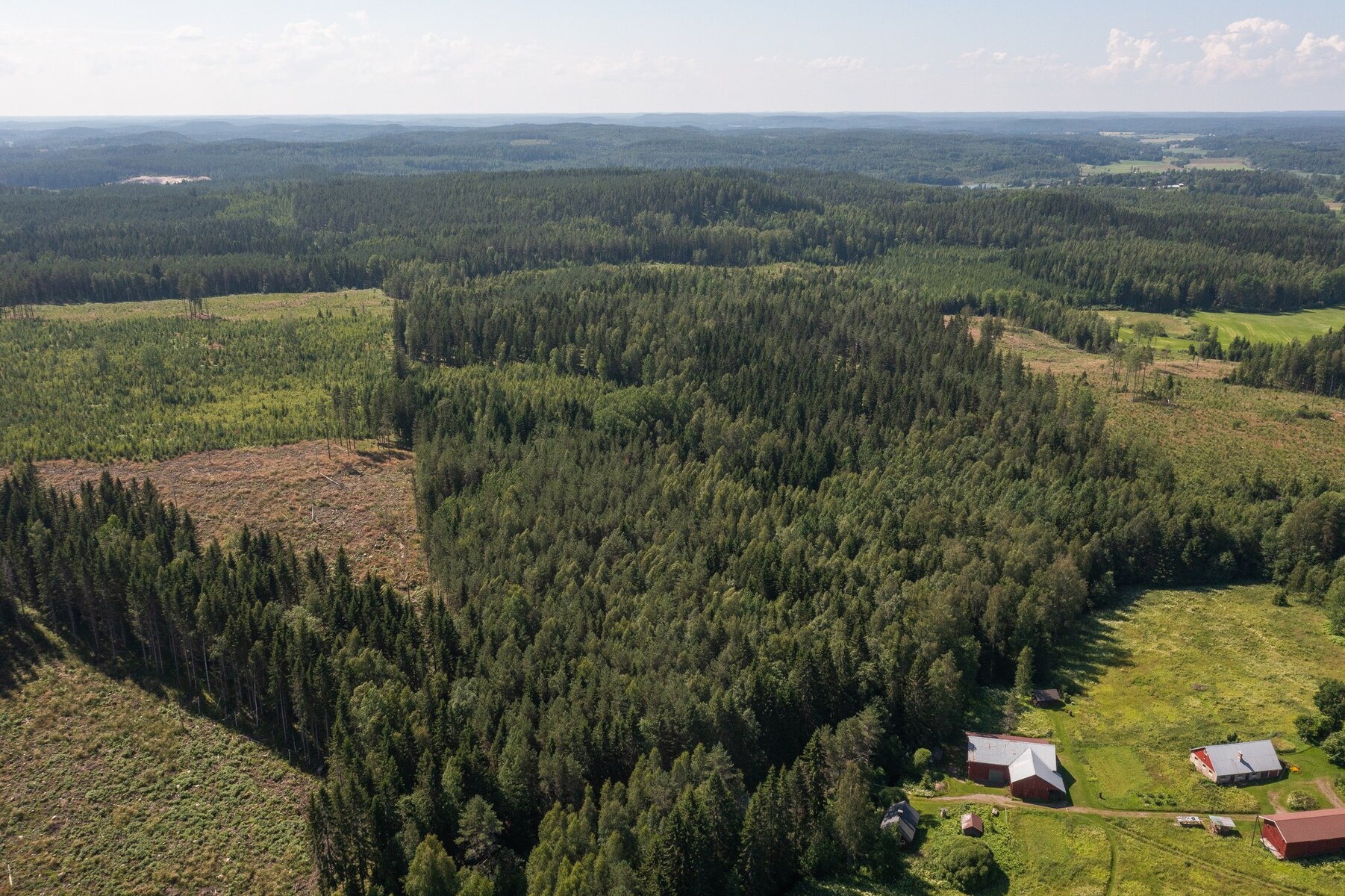 Metsäpalsta Käkikumpu II