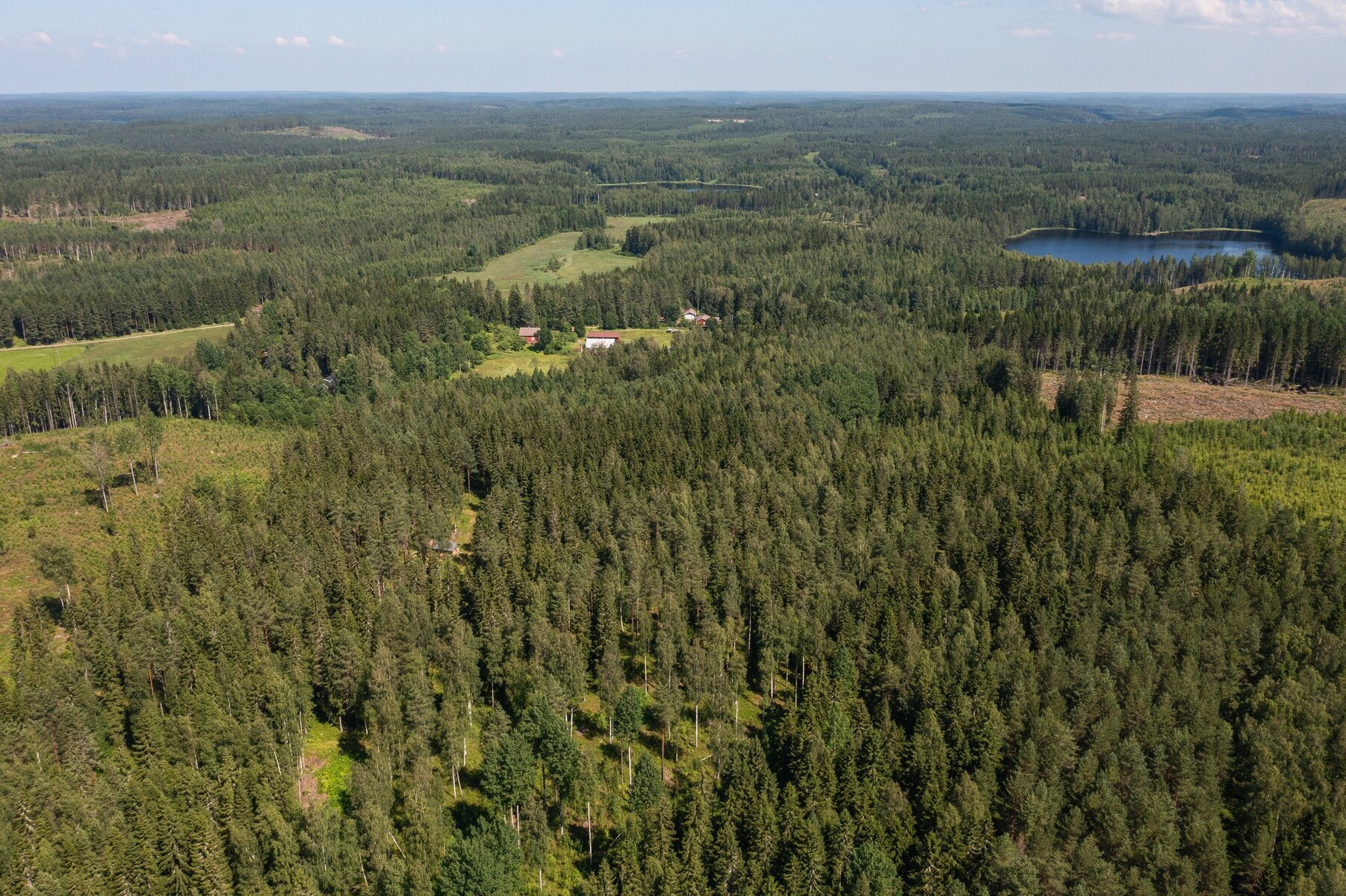 Metsäpalsta Käkikumpu II