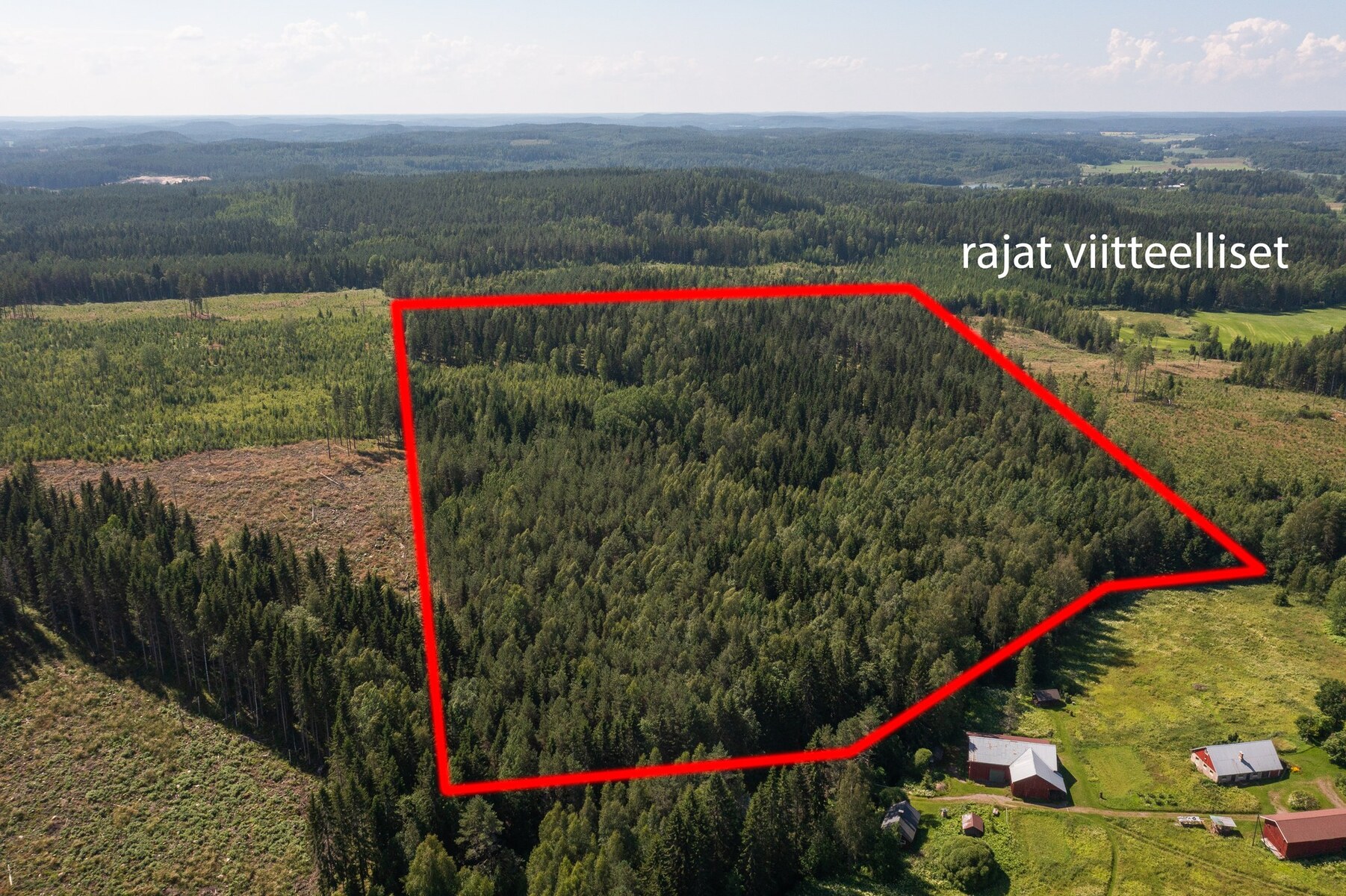 Metsäpalsta Käkikumpu II