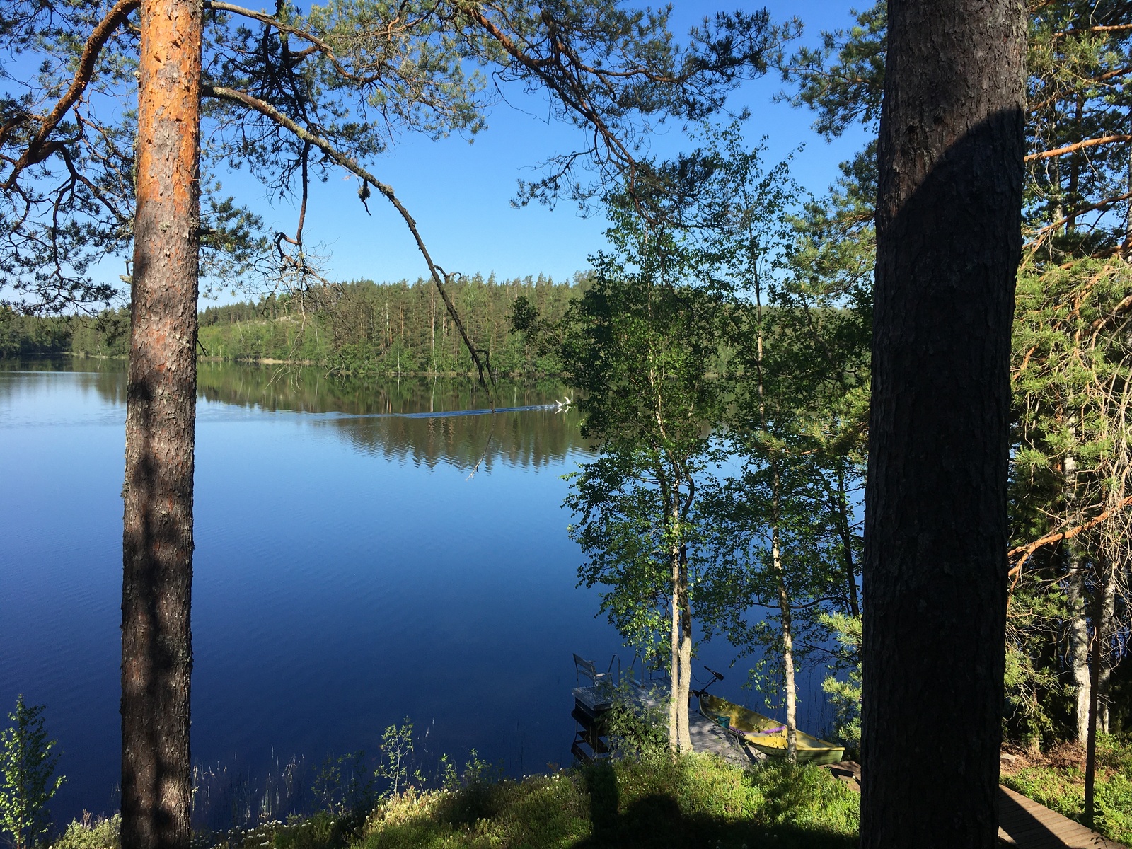 Myyjän albumista