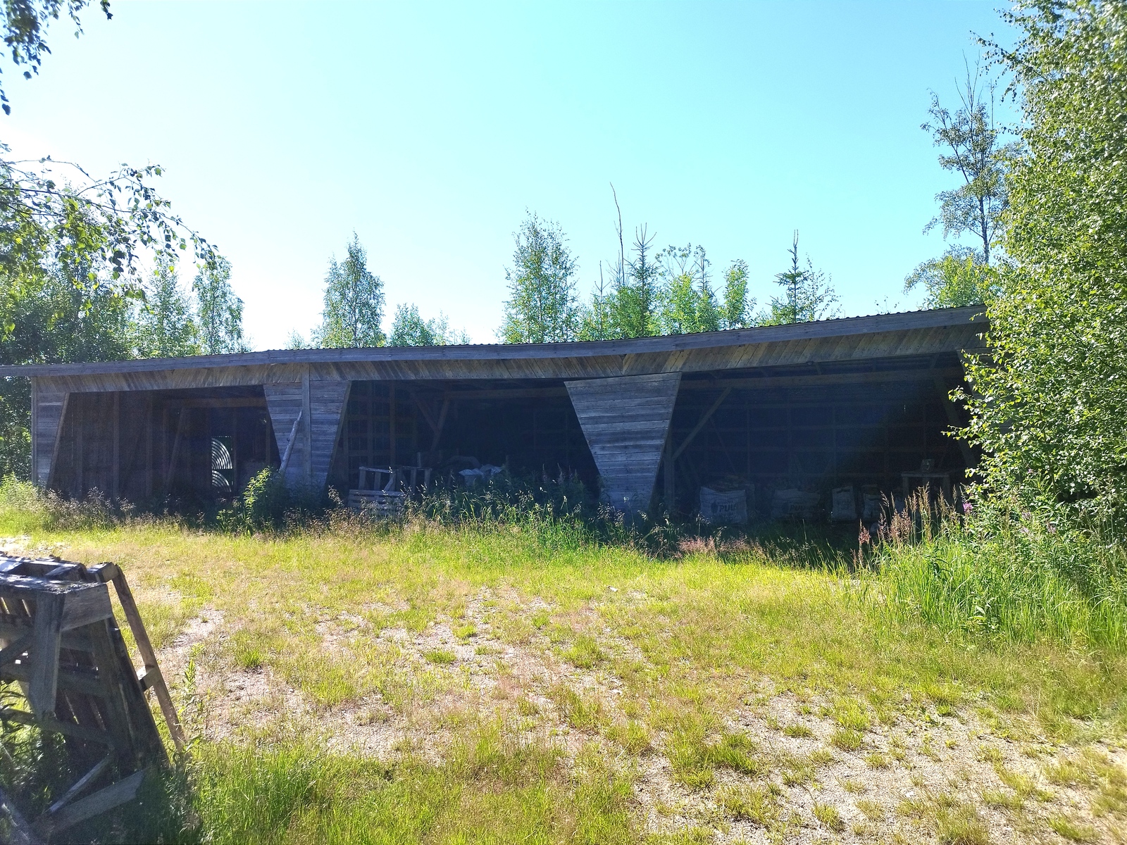 Suuri avokatos tien toisella puolella