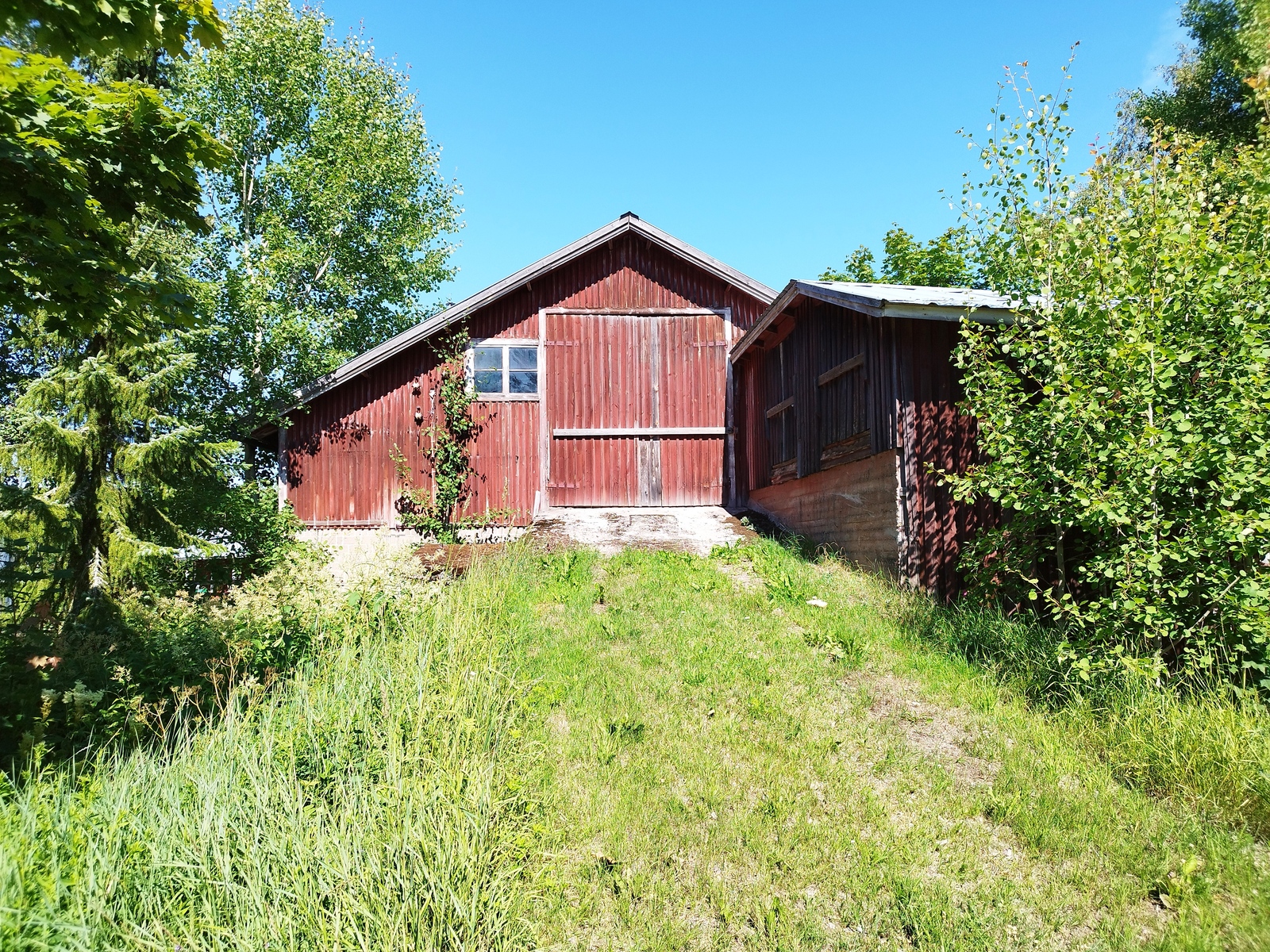 Ajoluiska navetan vintille