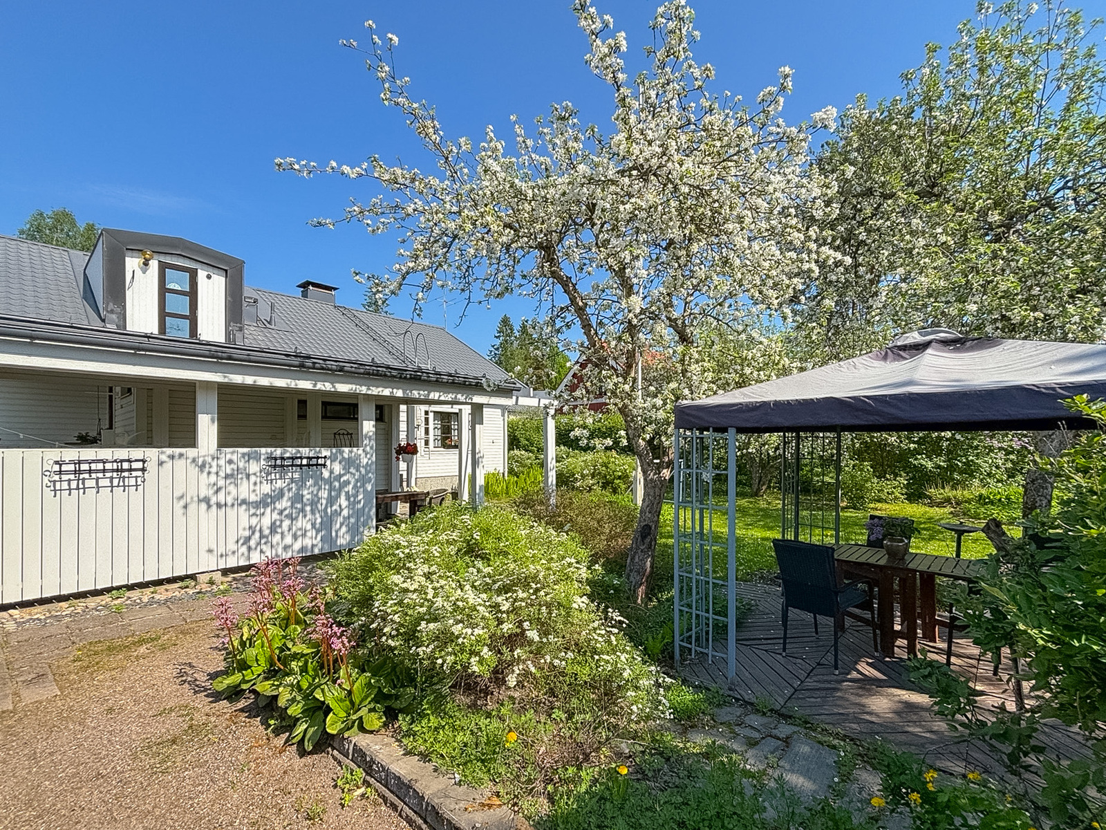 Omenapuiden kukintaa