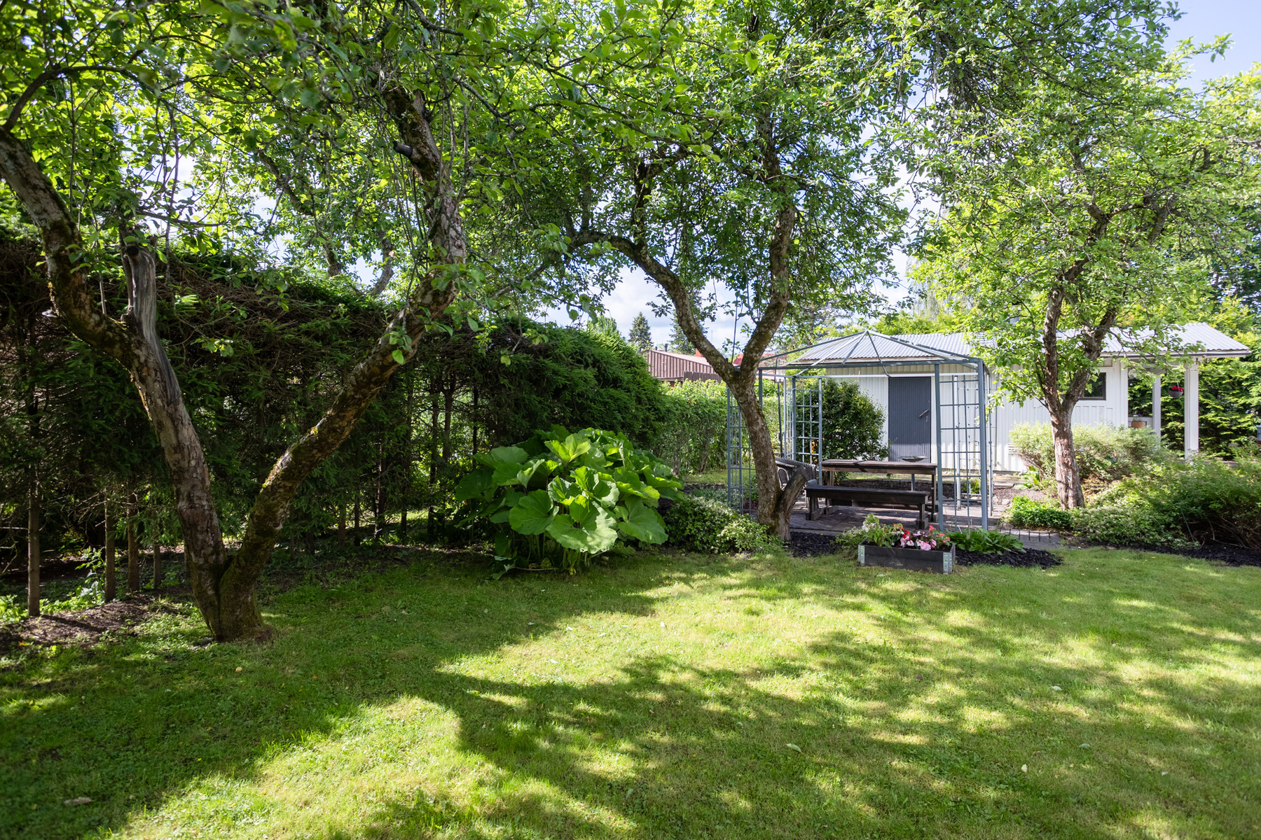 Suojaisa ja vehreä piha