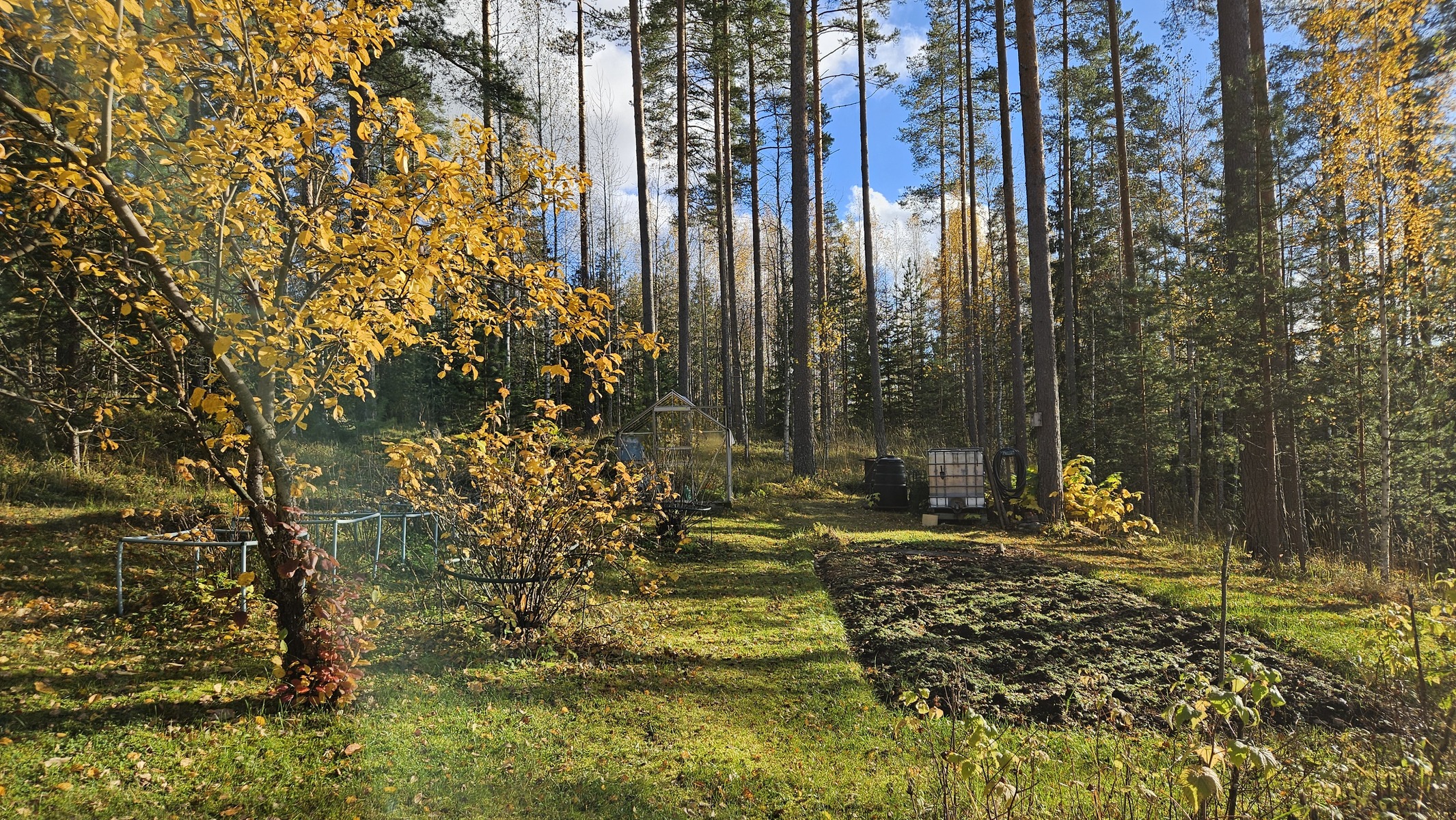 Kotitarveviljelykseen myös kasvihuone