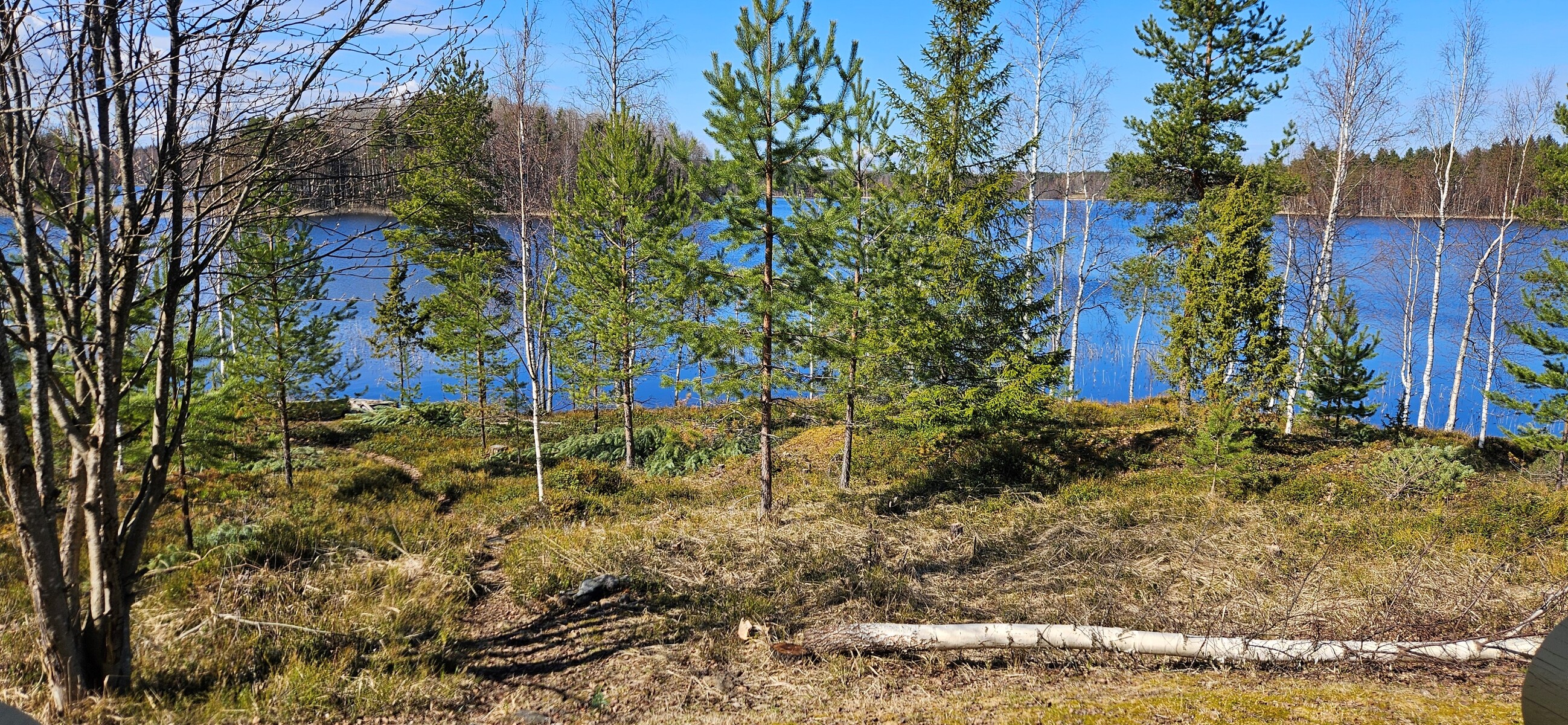 Näkymä terassilta.