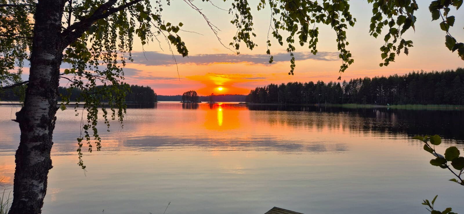 Myyjän albumista