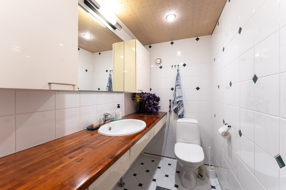 Kellarikerroksessa on toinenkin wc