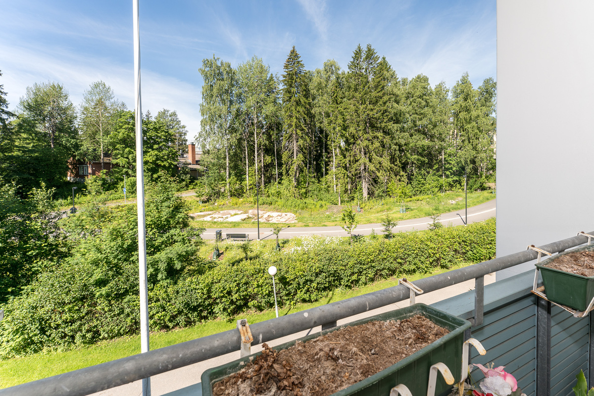 Näkymä luoteeseen ja Teininpuistoon