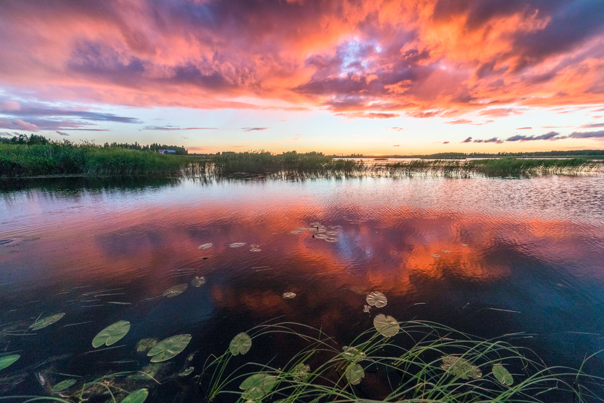 Katelejärveä näin