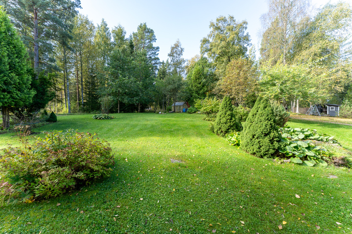 Nurmikenttä