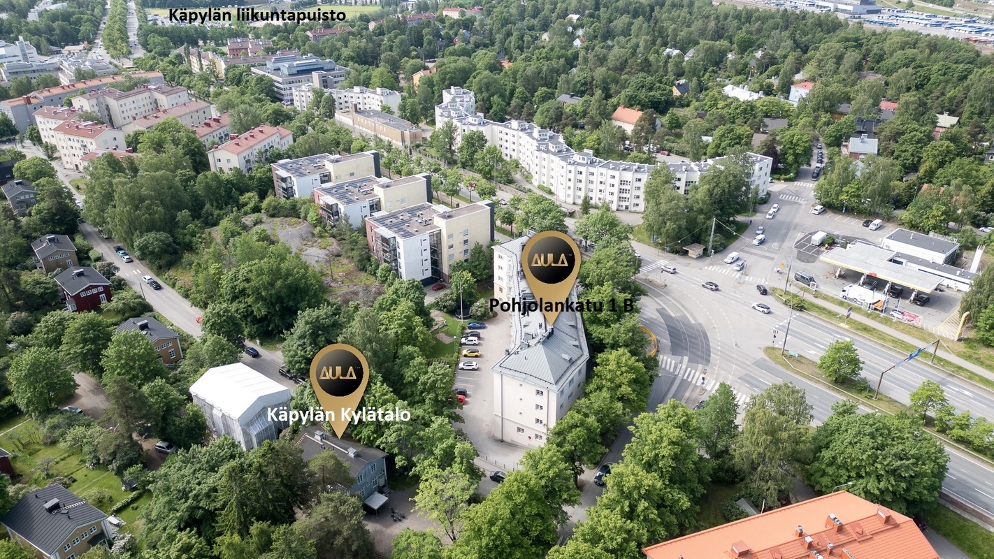 Ilmakuva koilisesta