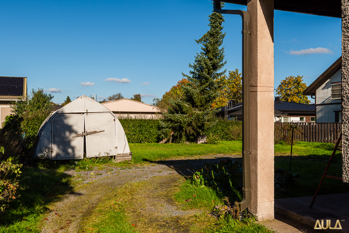 Takapiha