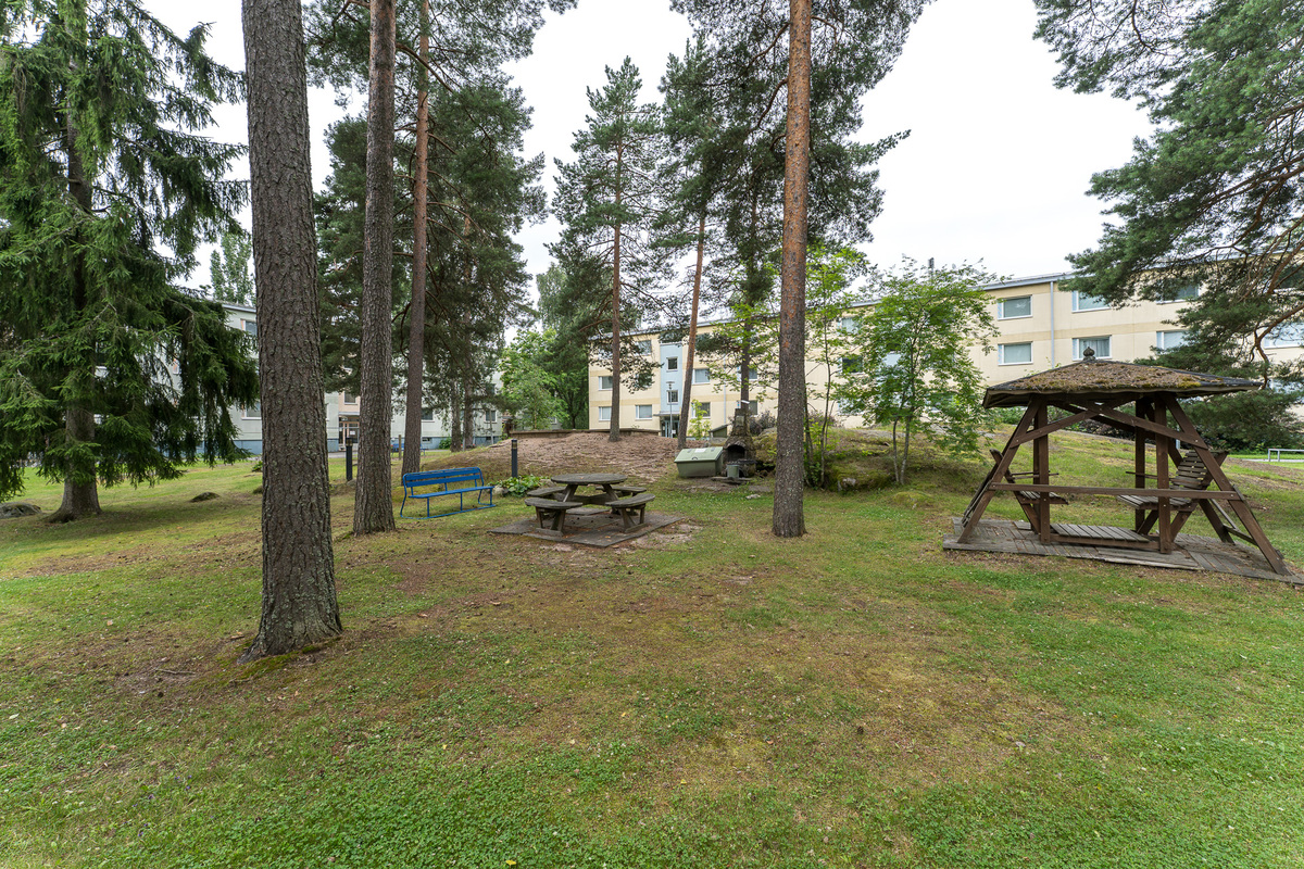 Yhtiön piha-alue