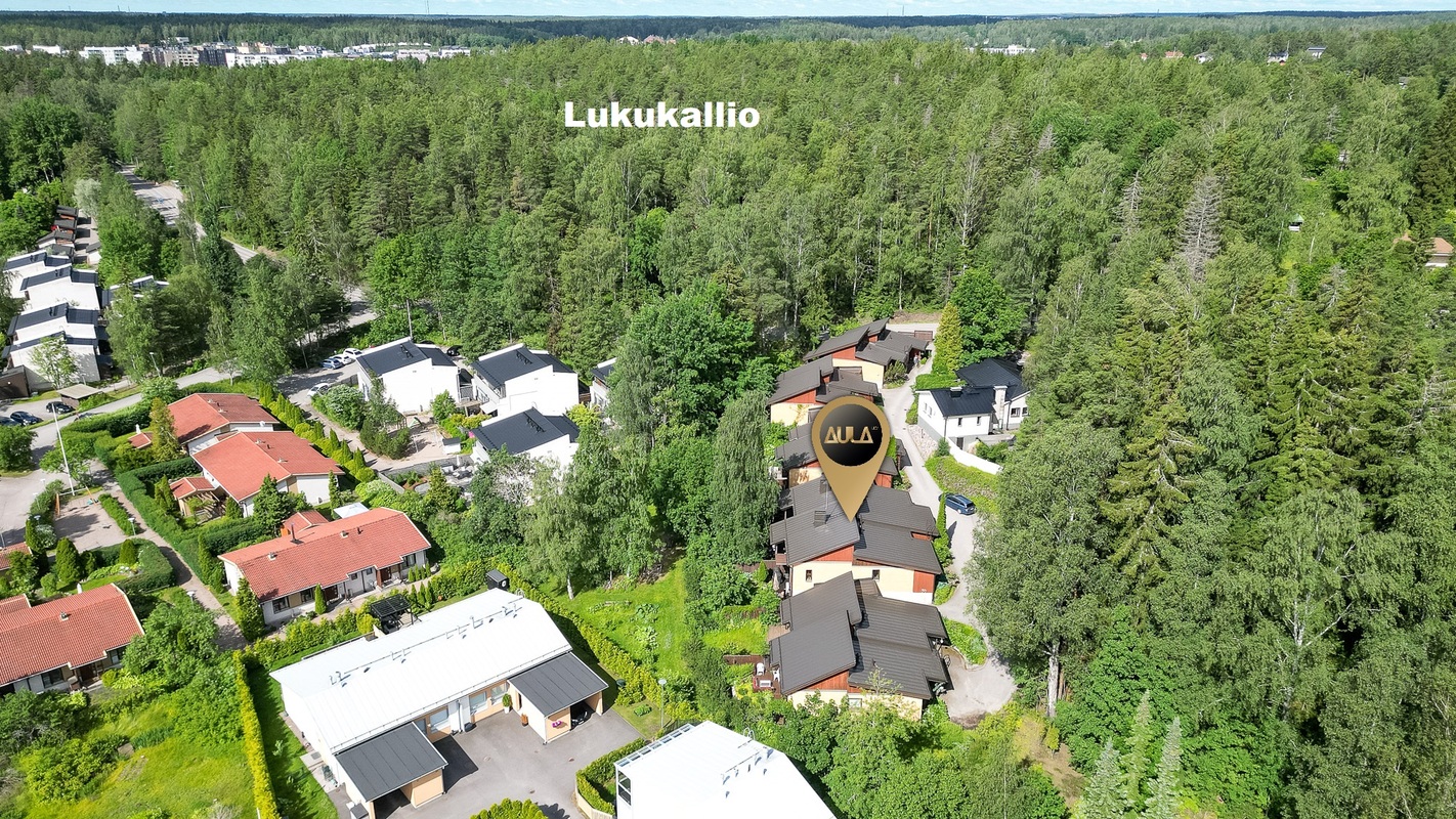 Ilmakuva idästä