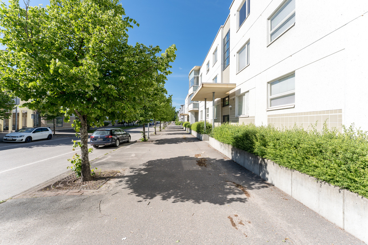 Puistomainen katu