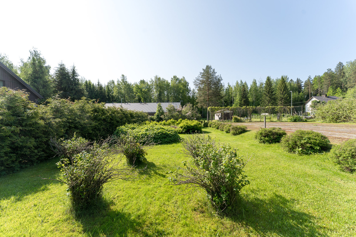 Itäpäädyn istutuksia