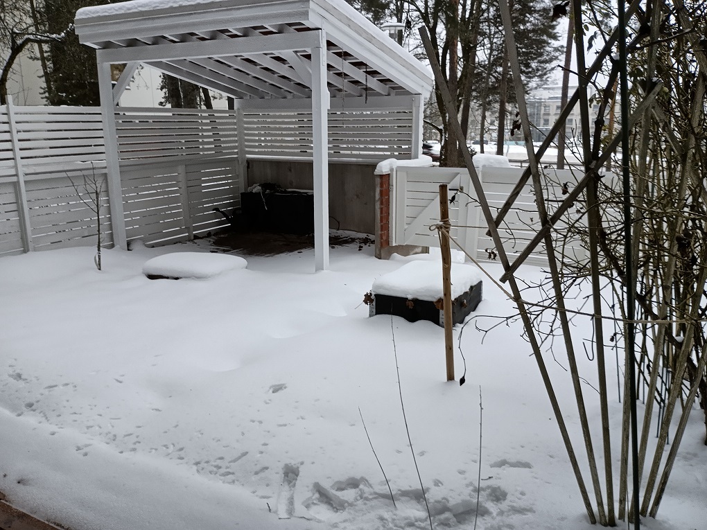 Talvikuva