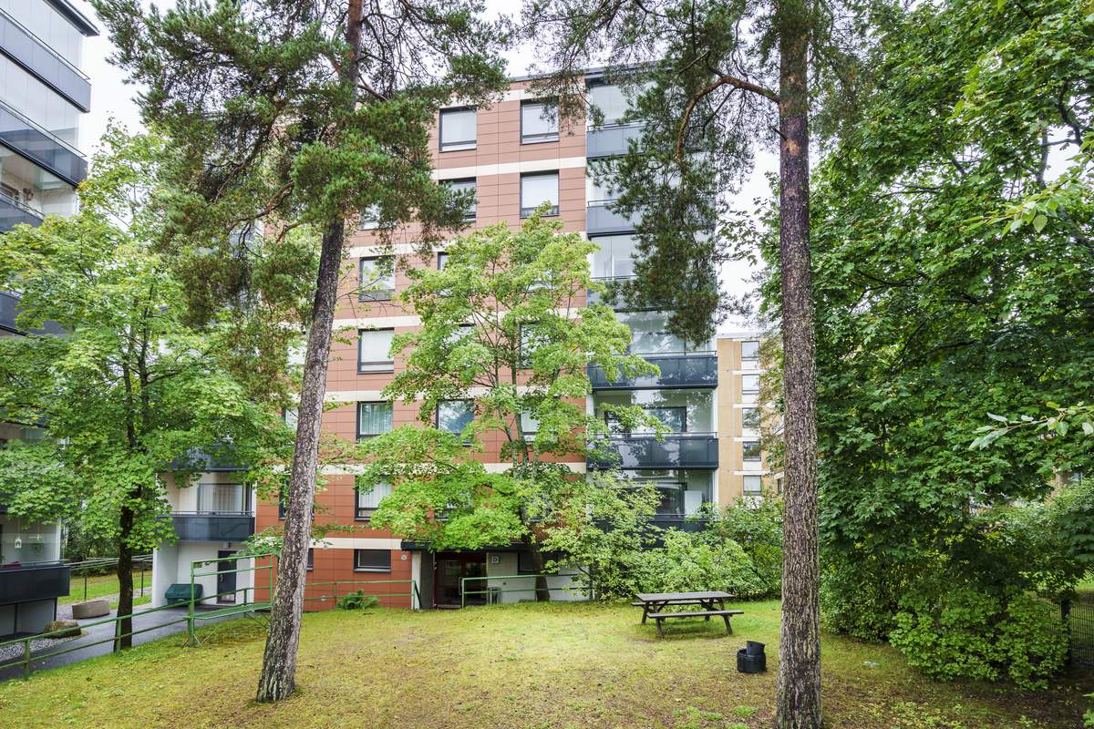 Metsäinen tontti
